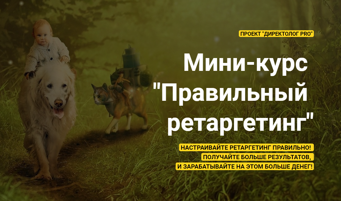 [Михаил Сабанин] Мини-курс _Правильный ретаргетинг_0.png